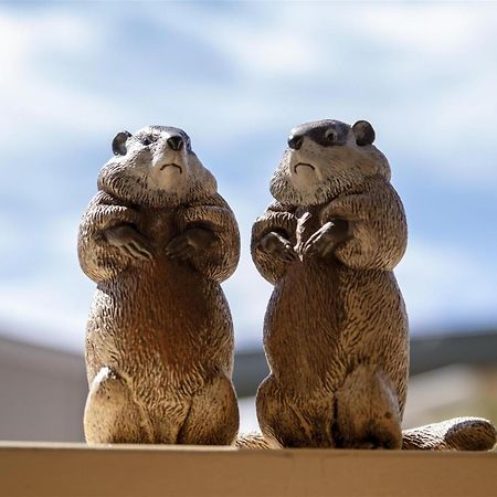 Woodchuck Flat Villa Fort Bragg Kültér fotó