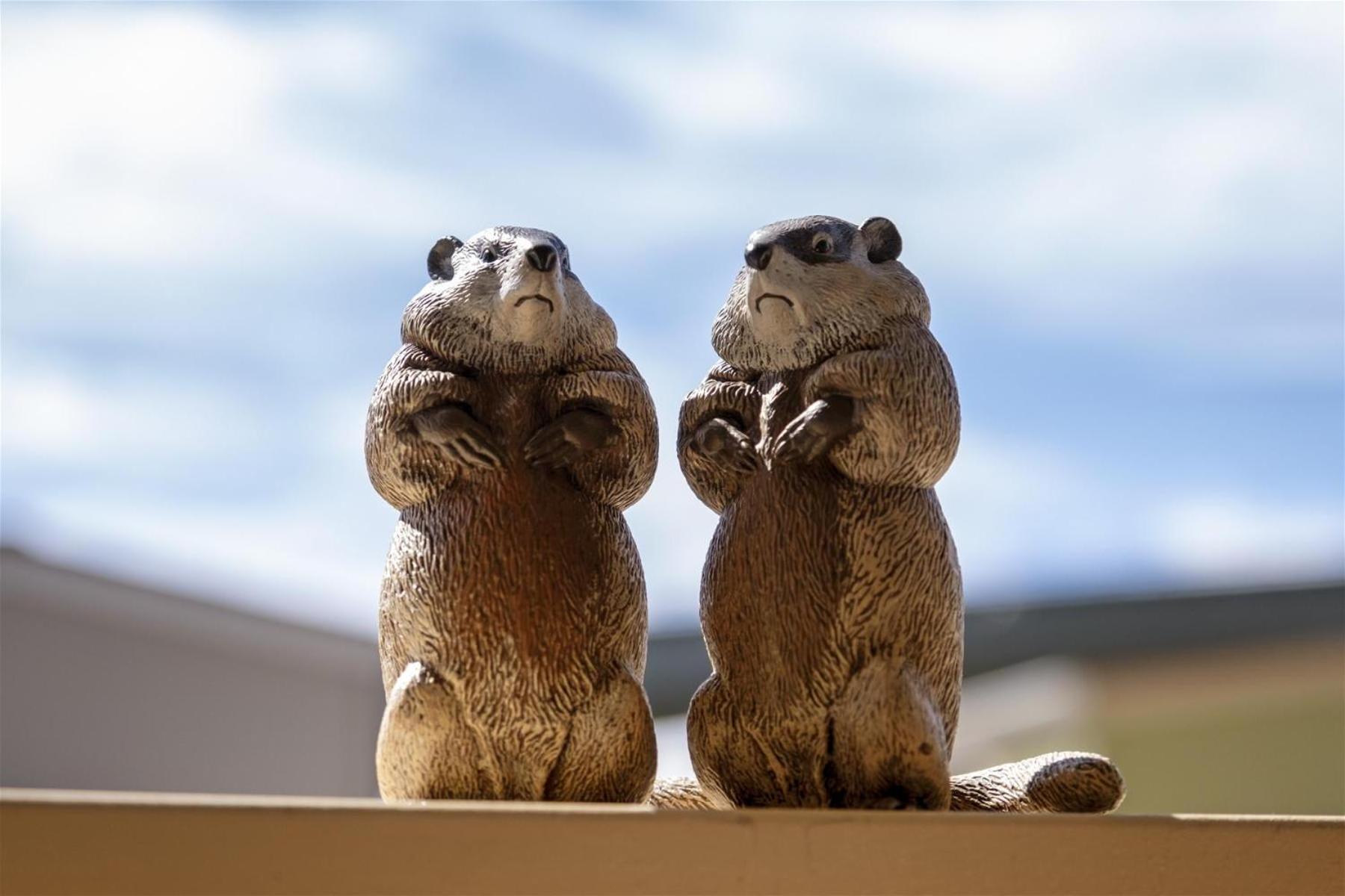 Woodchuck Flat Villa Fort Bragg Kültér fotó